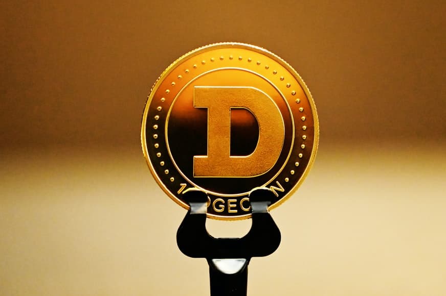 5 Hal yang Perlu Diperhatikan Sebelum Investasi Dogecoin