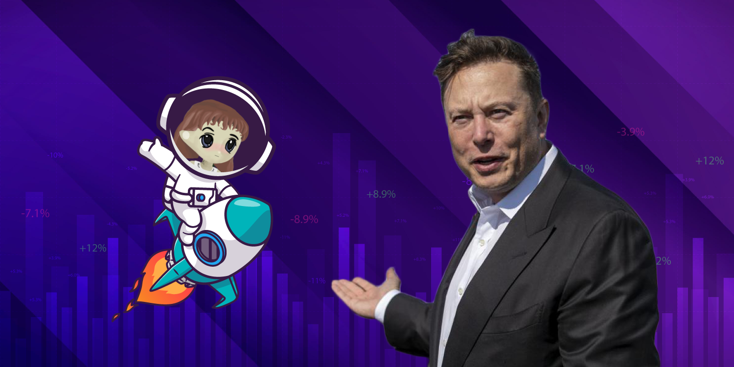 Meme Coin Baru! Mylady ($LADYS) Melonjak 5.000% dalam Sehari Setelah Cuitan dari Elon Musk!