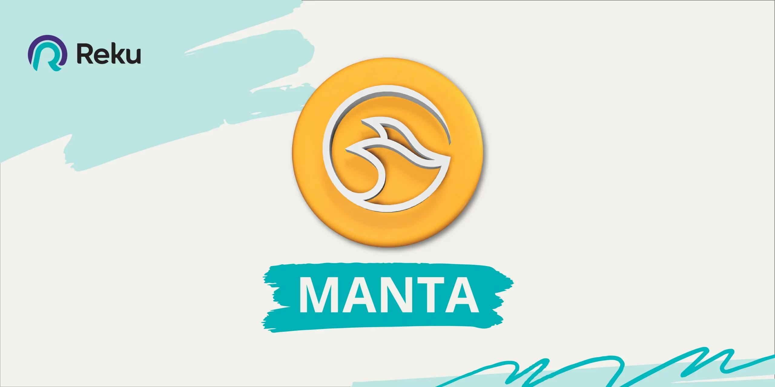 Apa itu Manta Network?