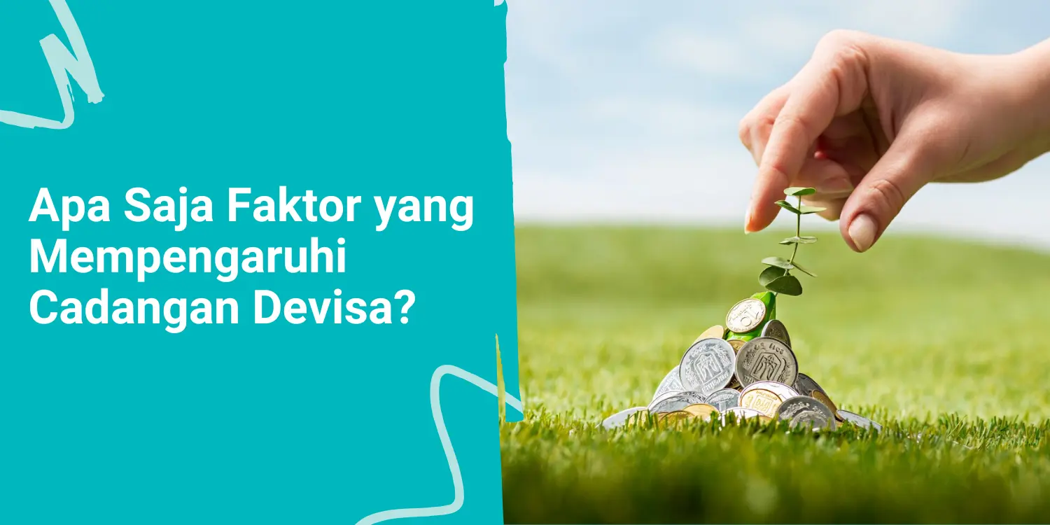 Apa Saja Faktor yang Mempengaruhi Cadangan Devisa?