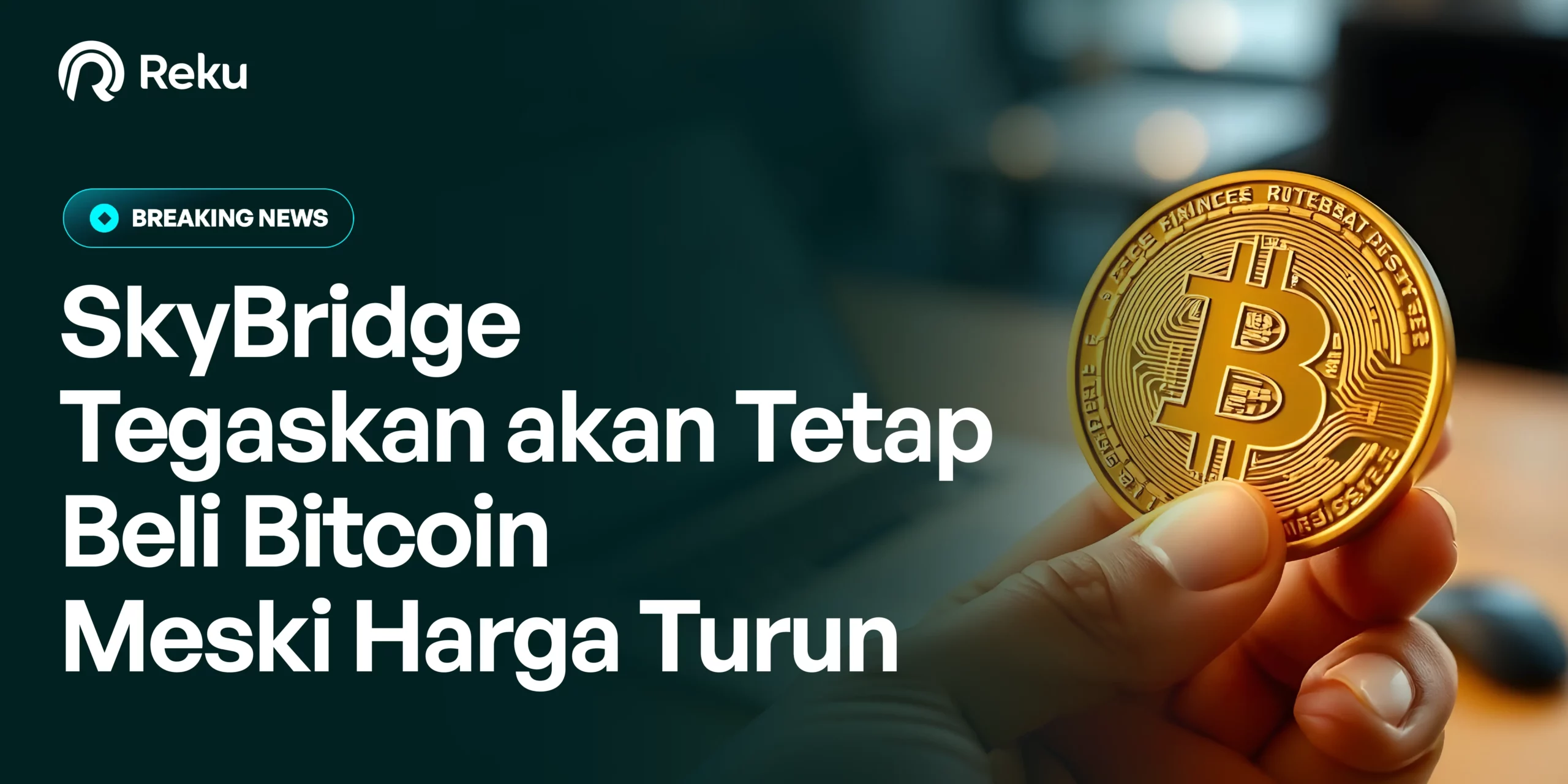 SkyBridge Tegaskan akan Tetap Beli Bitcoin Meski Harga Turun